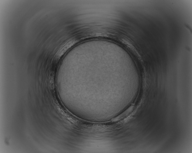 X0000100480977200807031848