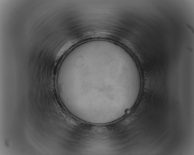 X0000100480978200807031848