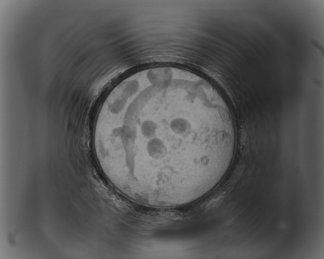 X0000100480979200807031848