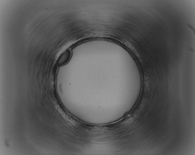 X0000100480981200807031847