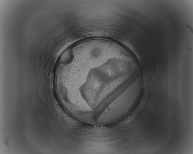 X0000100480983200807031847