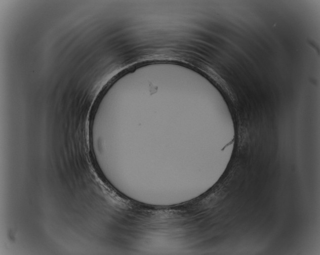 X0000100480988200807031847