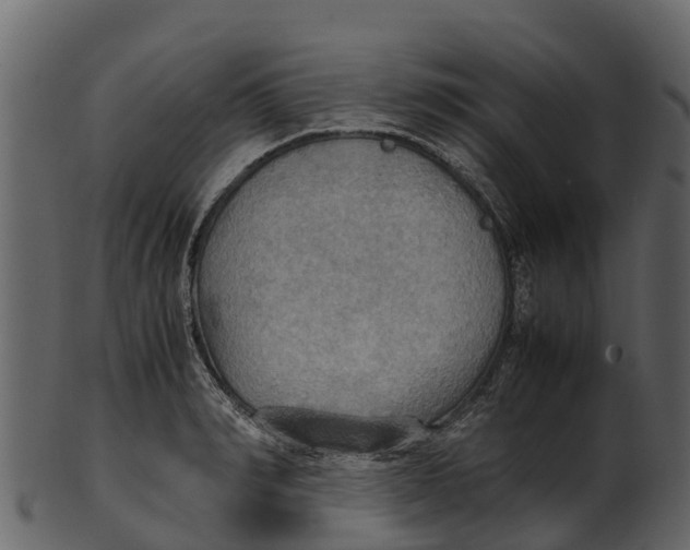 X0000100480990200807031847