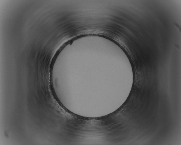 X0000100480992200807031847