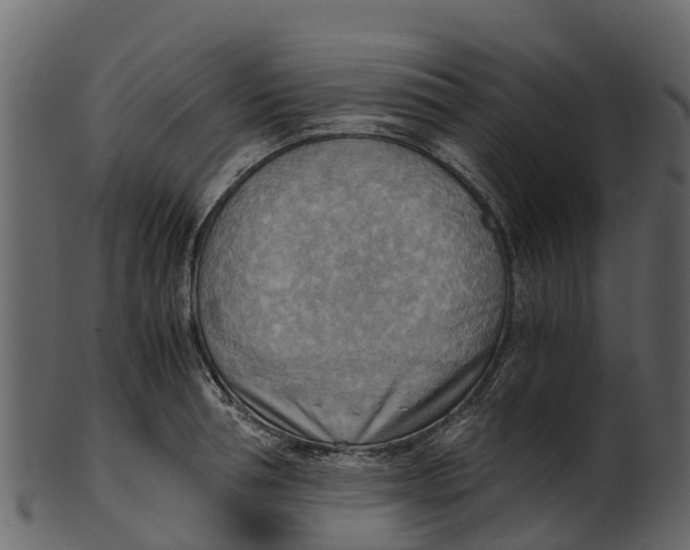 X0000100480994200807031847