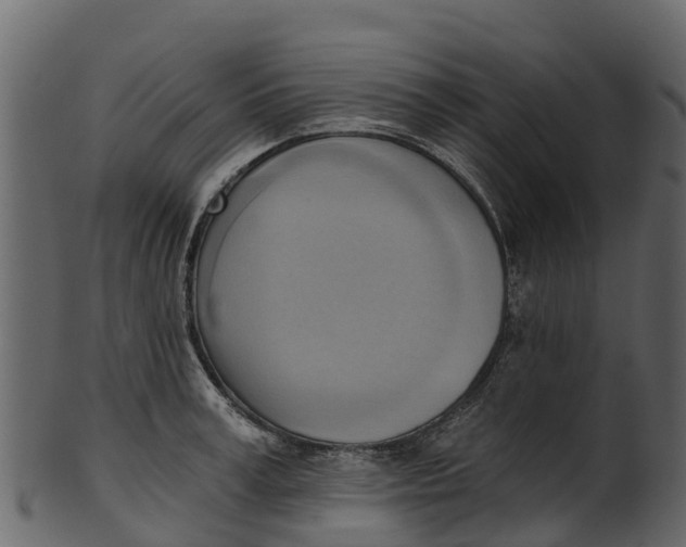 X0000100480995200807031847