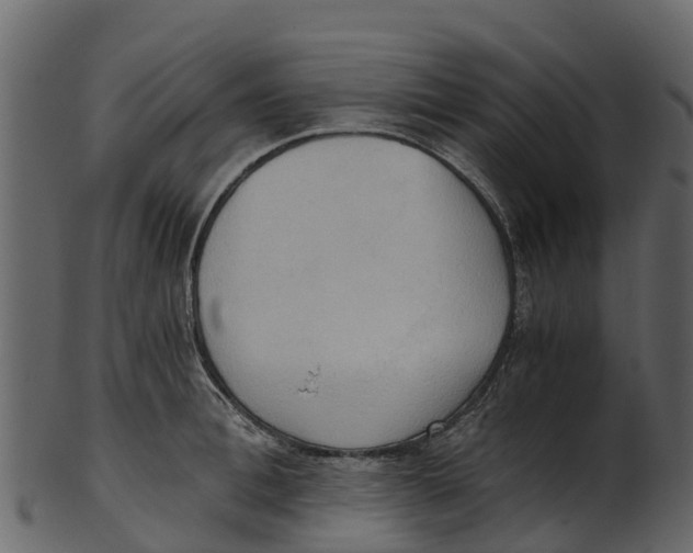 X0000100480996200807031847