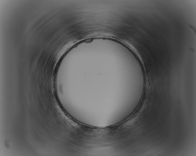 X0000100480997200807031847