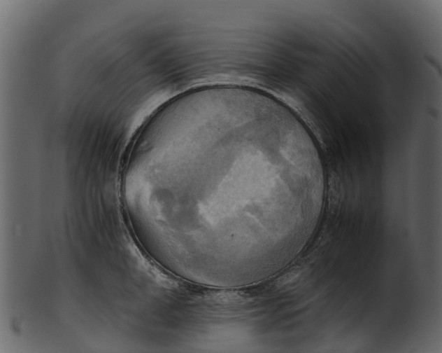 X0000100480998200807031847