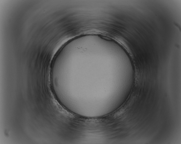 X0000100481000200807031847