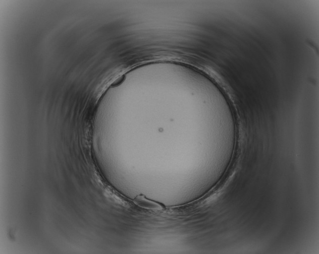 X0000100481001200807031847