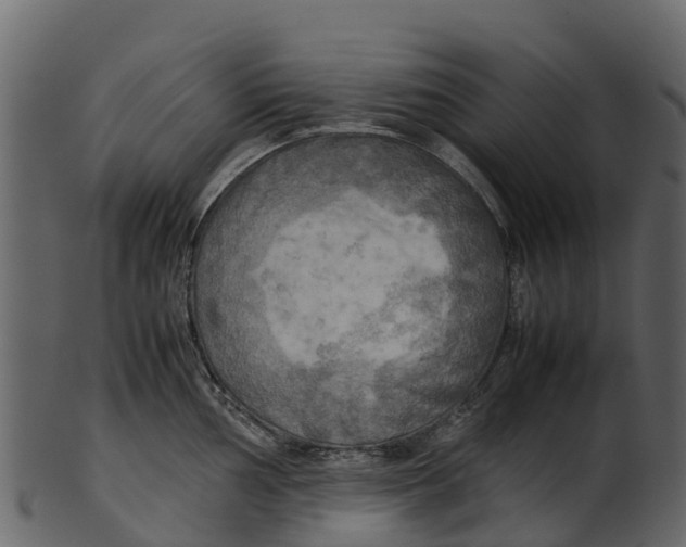 X0000100481002200807031847