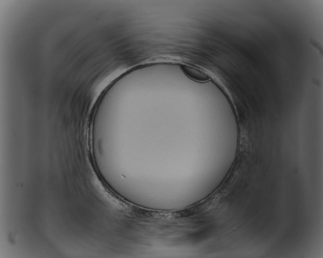 X0000100481003200807031847