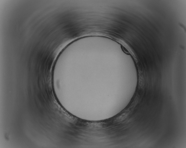 X0000100481004200807031847