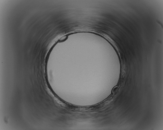 X0000100481005200807031847