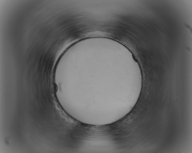 X0000100481008200807031847