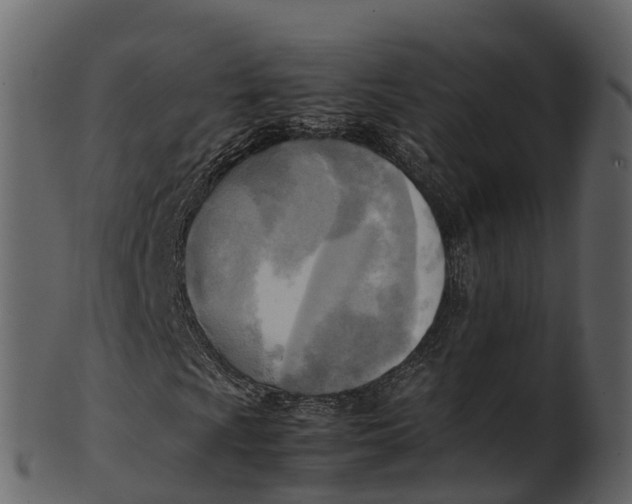 X0000100481009200807031846