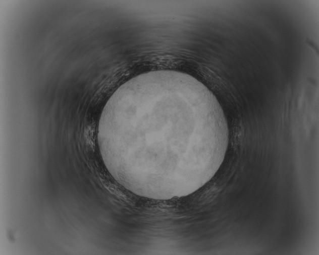 X0000100481010200807031846