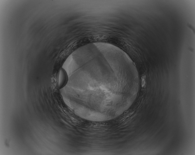 X0000100481011200807031846