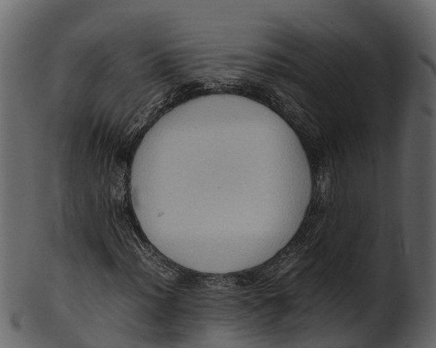 X0000100481012200807031846