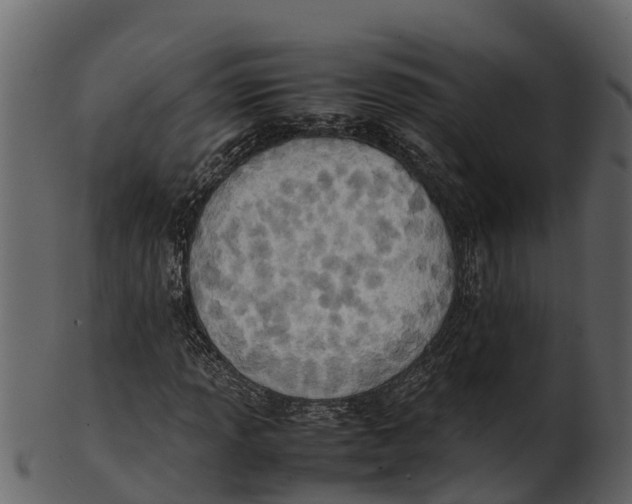 X0000100481013200807031846