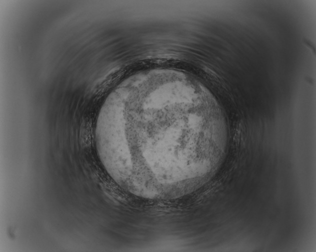 X0000100481014200807031846