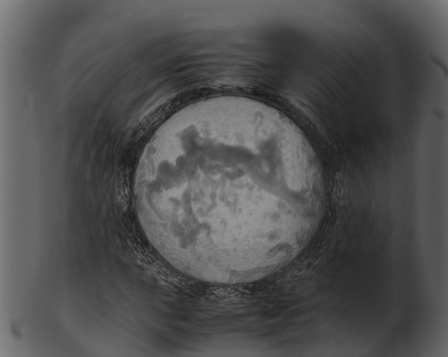 X0000100481015200807031846