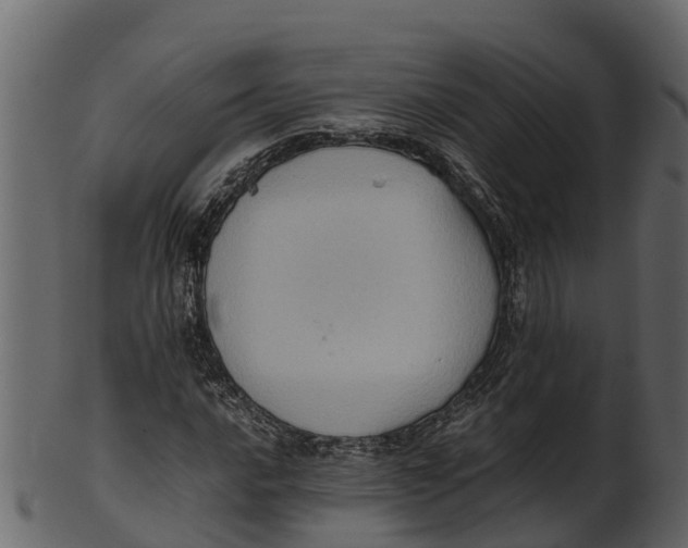 X0000100481016200807031846