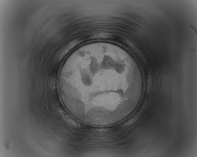 X0000100481017200807031846