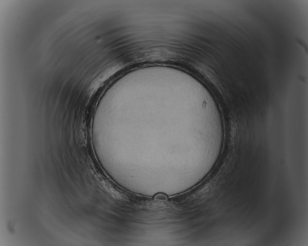 X0000100481018200807031846