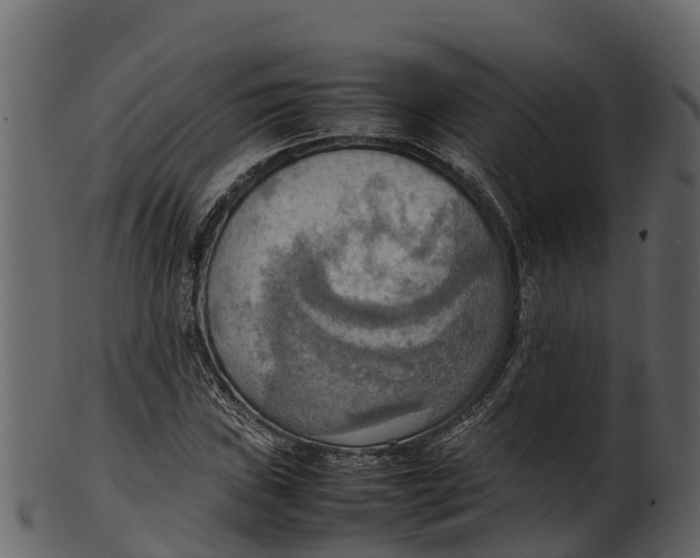 X0000100481019200807031846