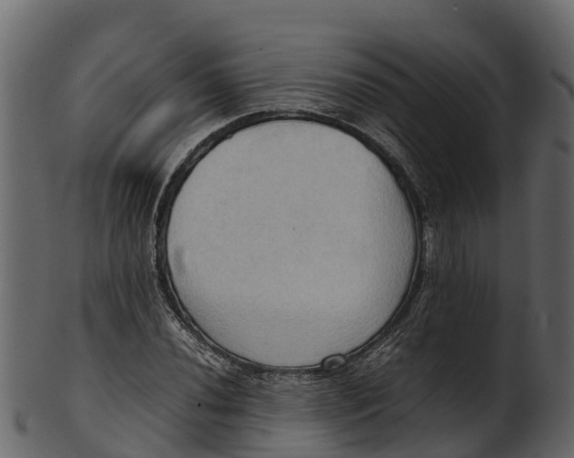 X0000100481020200807031846