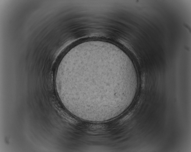 X0000100481021200807031846