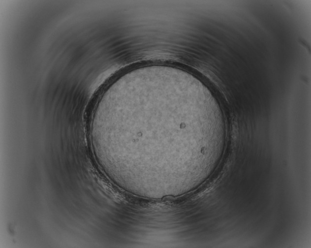 X0000100481022200807031846