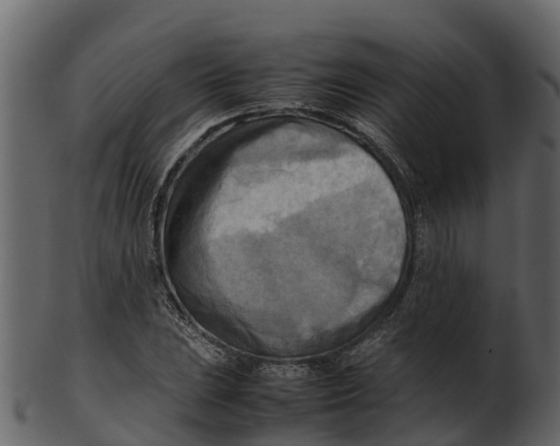 X0000100481023200807031846