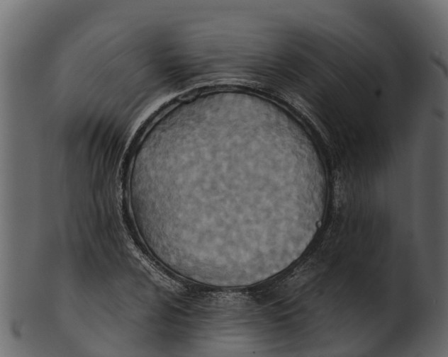 X0000100481024200807031846