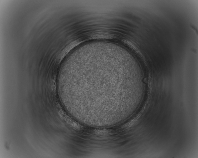 X0000100481025200807031846