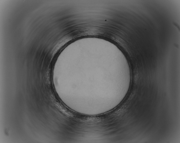 X0000100481026200807031846