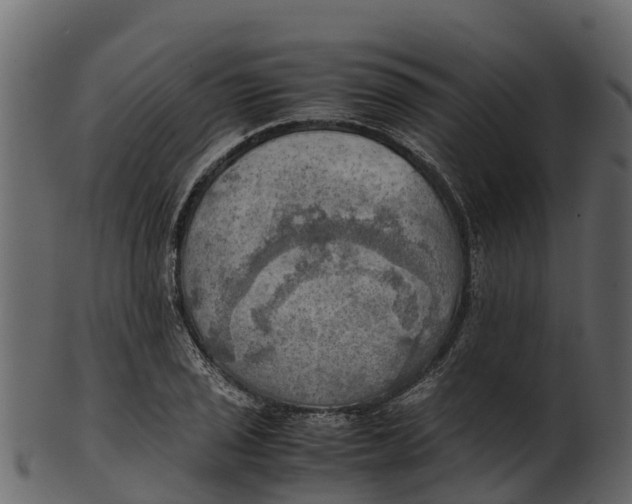 X0000100481029200807031847