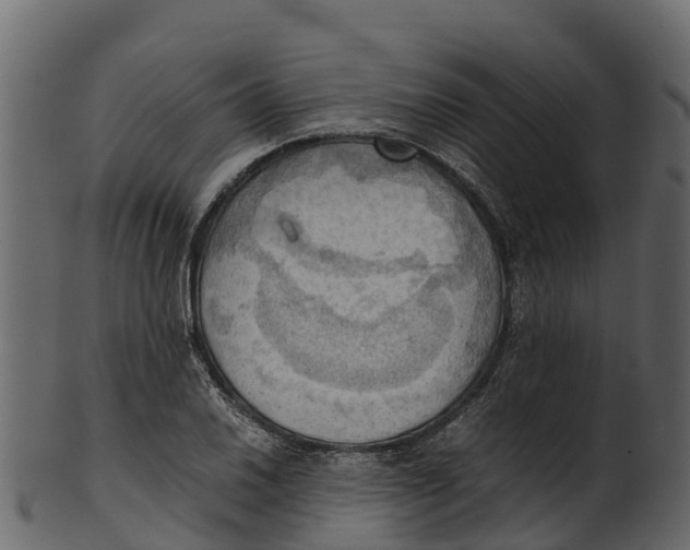 X0000100481030200807031847