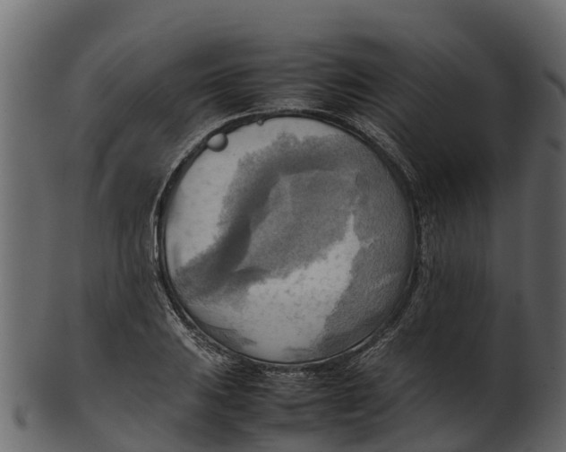 X0000100481031200807031847