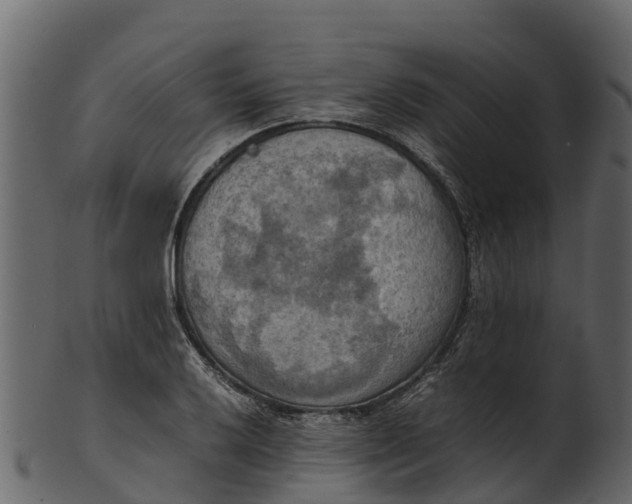 X0000100481032200807031847