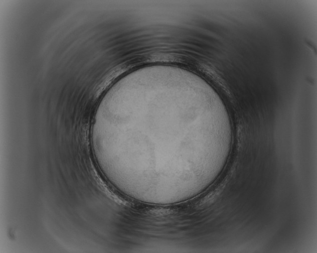 X0000100481033200807031847