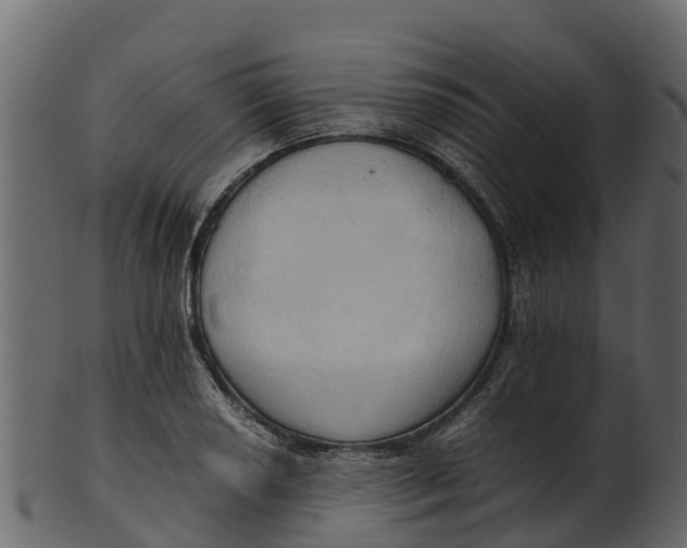 X0000100481034200807031847