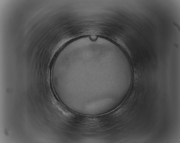 X0000100481035200807031847