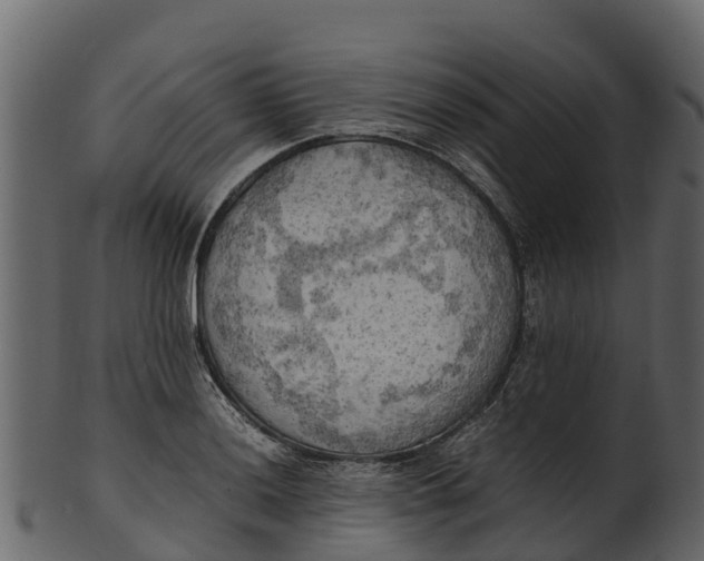 X0000100481036200807031847