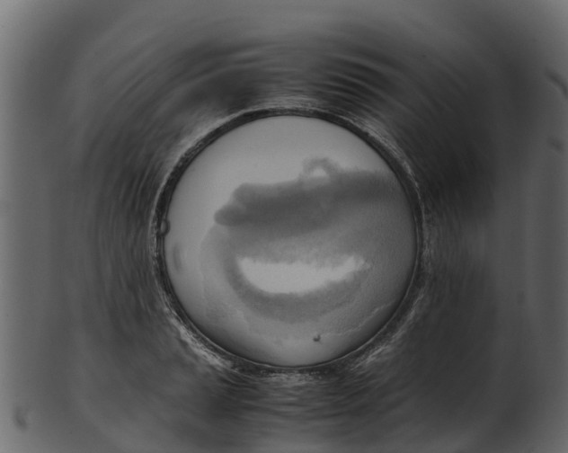 X0000100481037200807031847