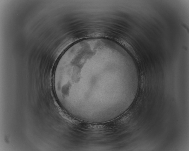 X0000100481039200807031847