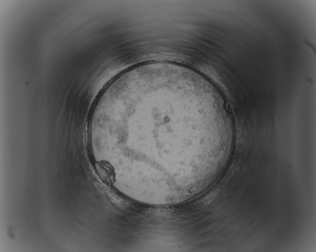 X0000100481040200807031847