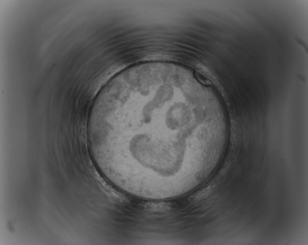 X0000100481041200807031847